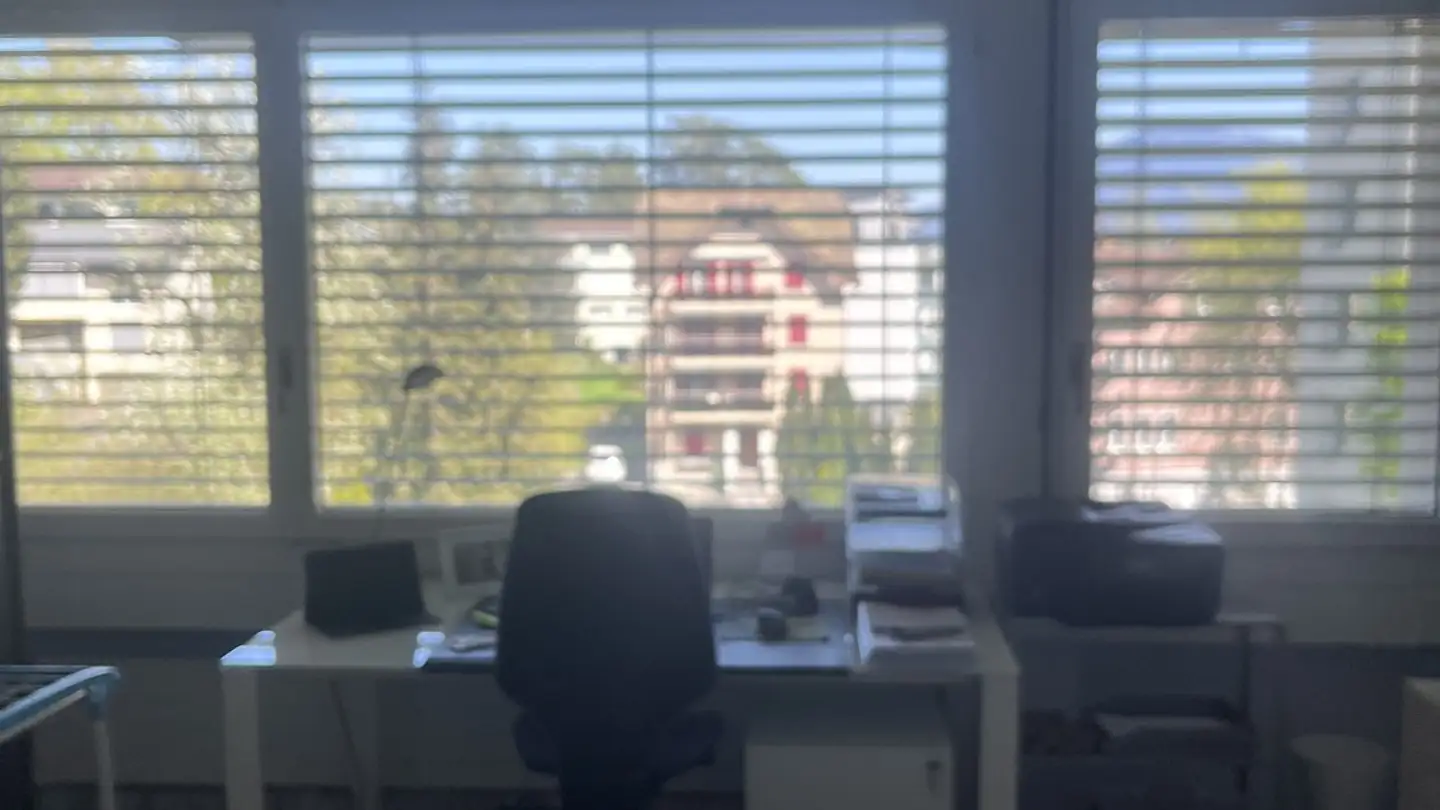 Wohnung mieten - Wylstrasse 13, 6052 Hergiswil NW - Foto 3