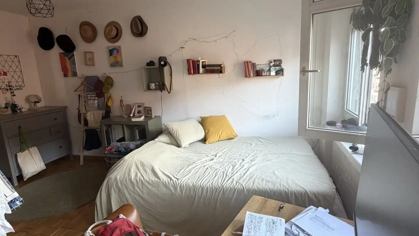 Chambre à louer - Weinbergstrasse 161, 8006 Zürich