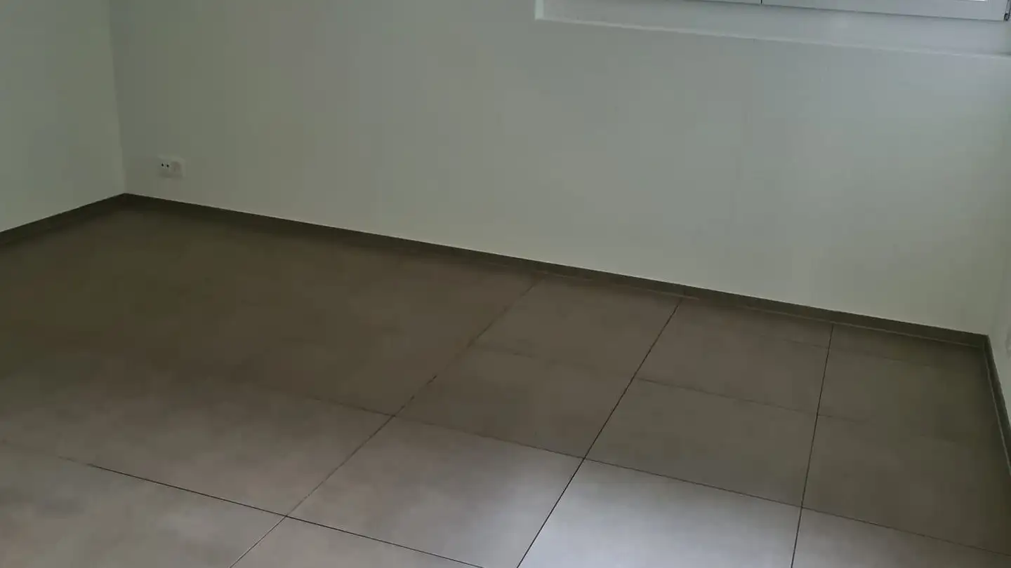 Apartment for rent - Waldweidstrasse 1, 4437 Waldenburg - Photo 4