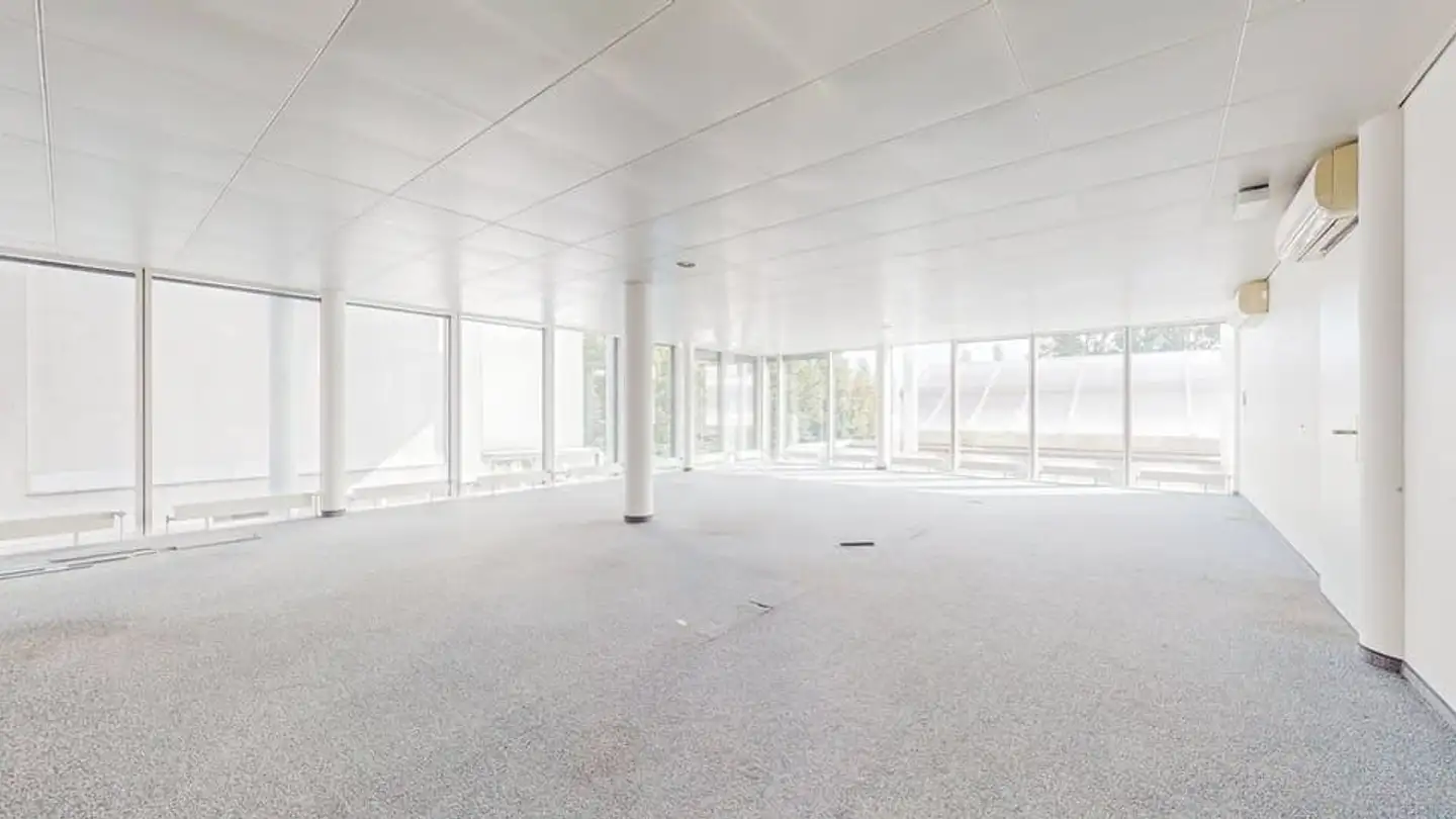 Commerciale in affitto - Avenue De Rhodanie 70, 1007 Lausanne - Foto 2