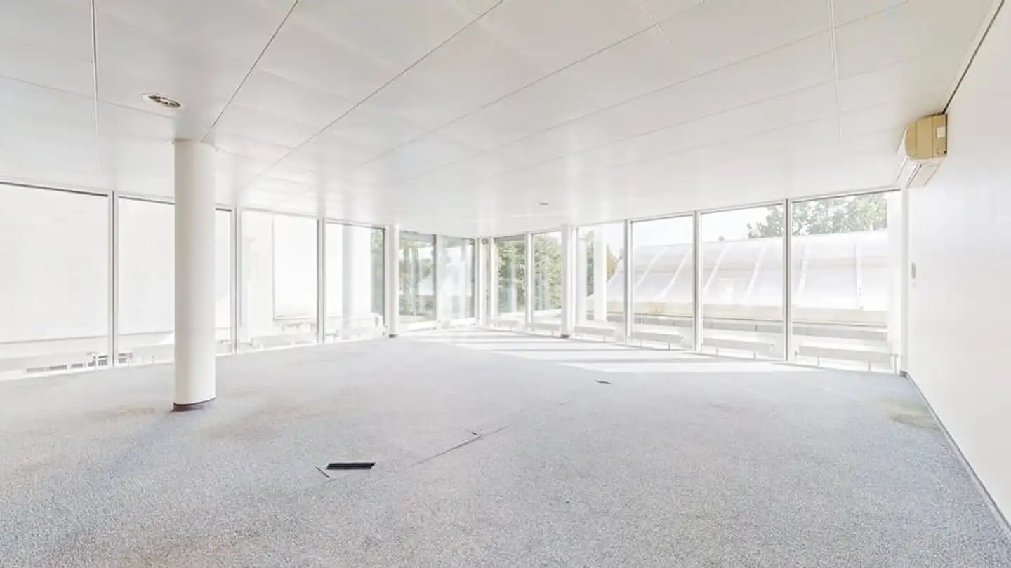 Commerciale in affitto - Avenue De Rhodanie 70, 1007 Lausanne - Foto 3