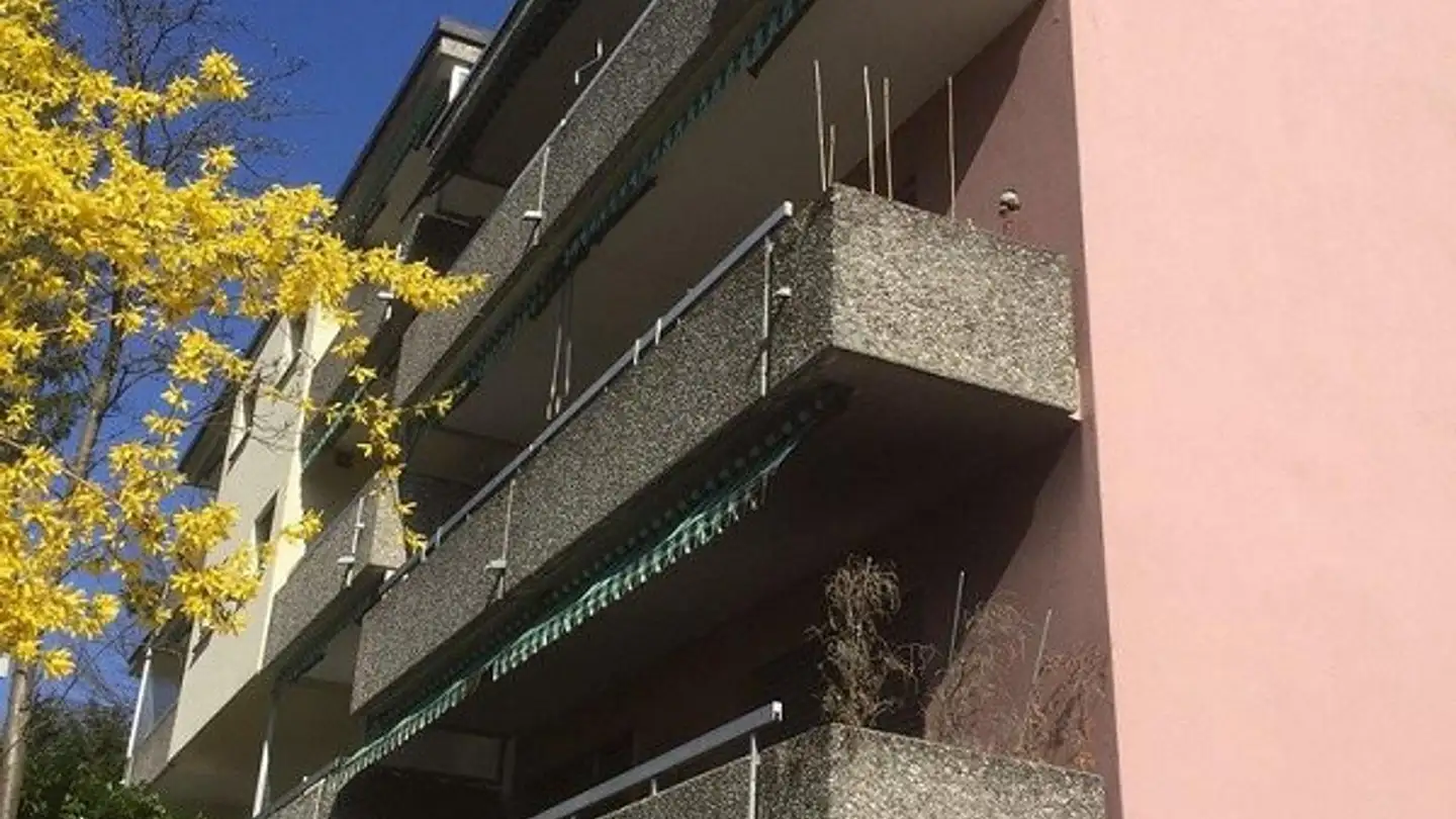 Wohnung mieten - Witikonerstrasse 241, 8053 Zürich