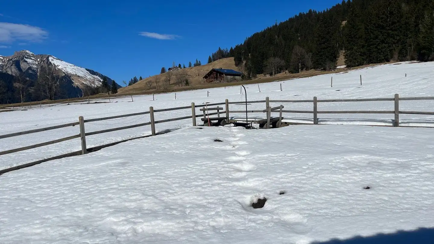 Chalet in vendita - Innergsteigstrasse 49, 3785 Gsteig b. Gstaad - Foto 4