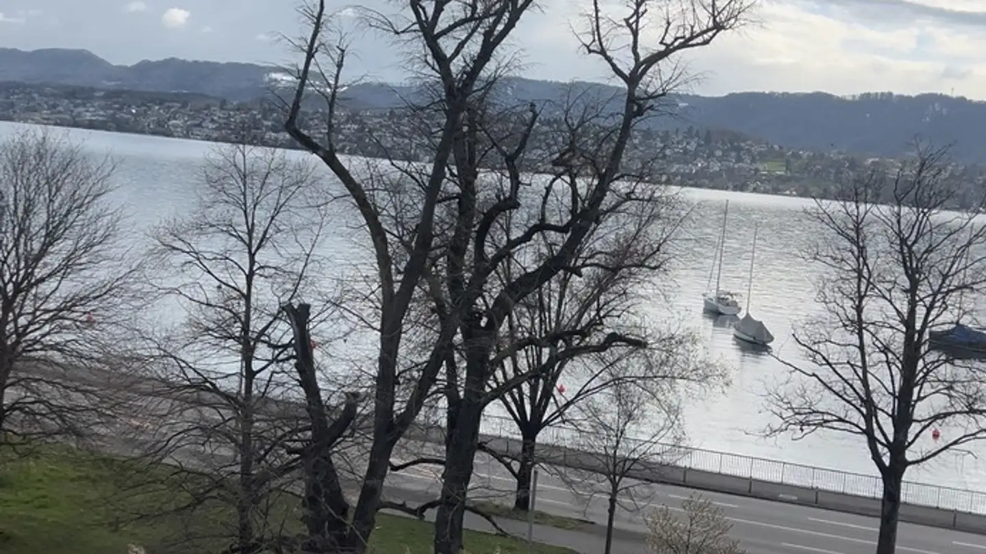 Zimmer mieten - Seefeldstrasse 228, 8008 Zürich - Foto 2