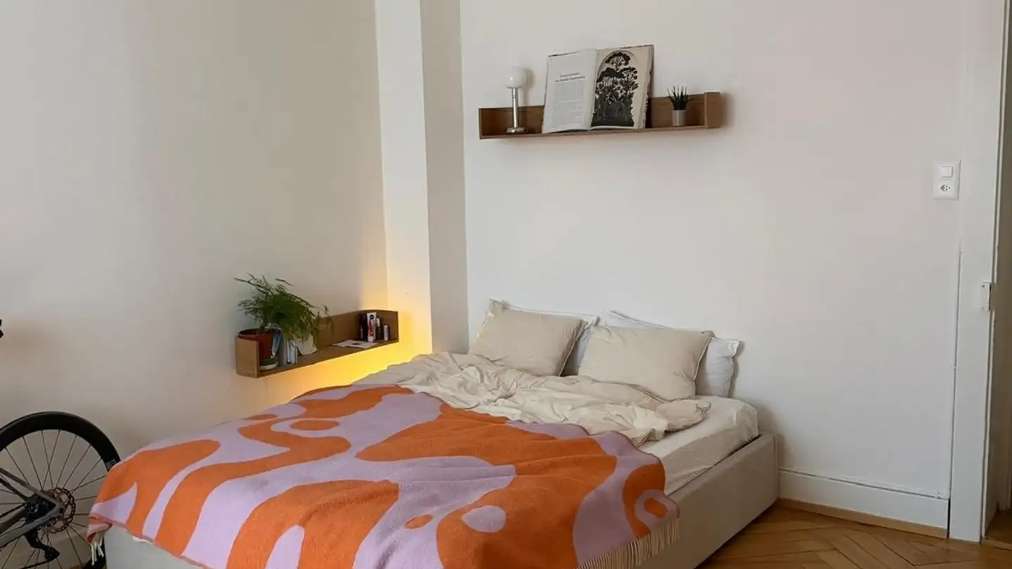 Chambre à louer - Stationsstrasse, 8003 Zürich - Photo 2