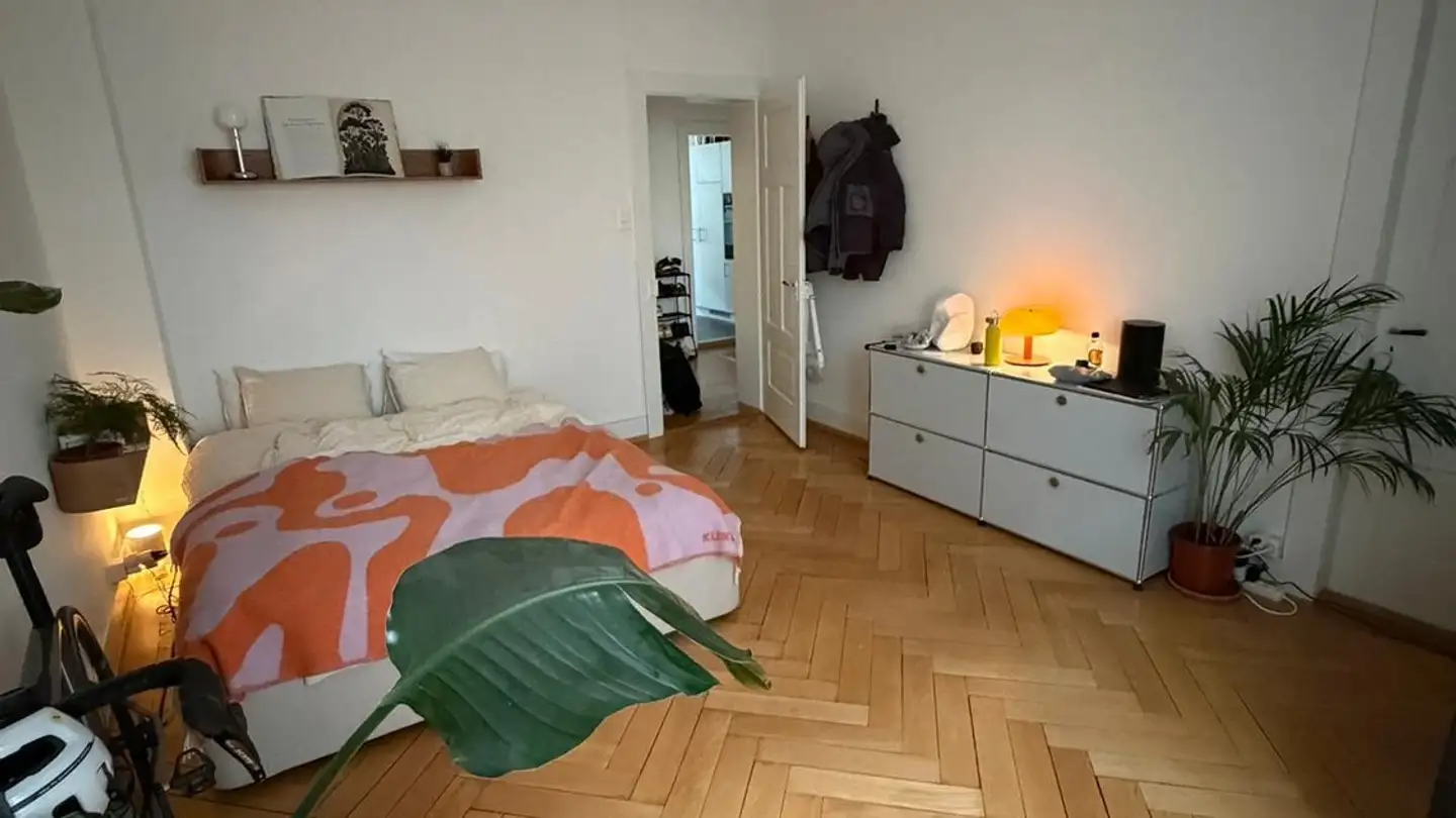 Chambre à louer - Stationsstrasse, 8003 Zürich - Photo 3