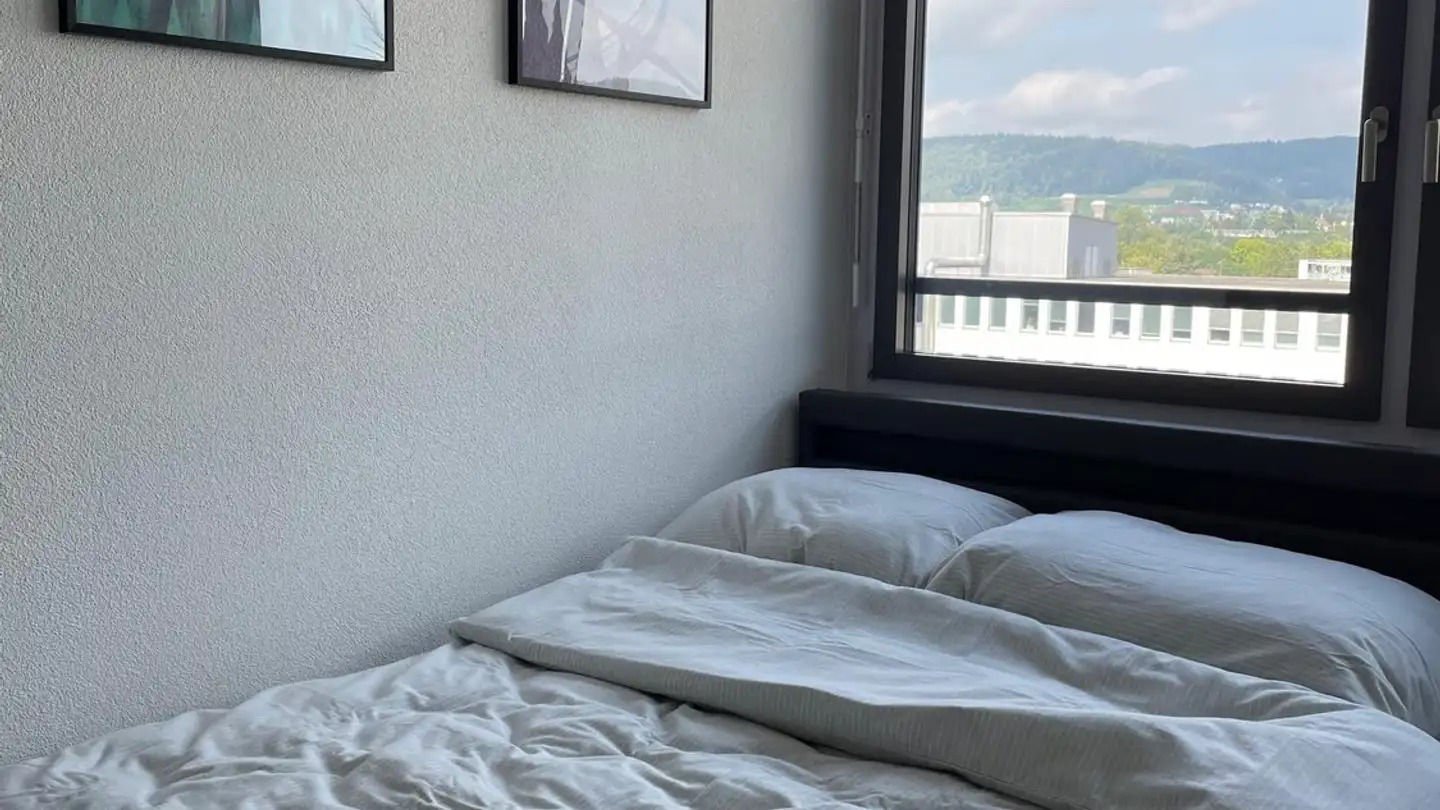 Appartamento ammobiliato in affitto - Brandstrasse 21, 8952 Schlieren - Foto 2