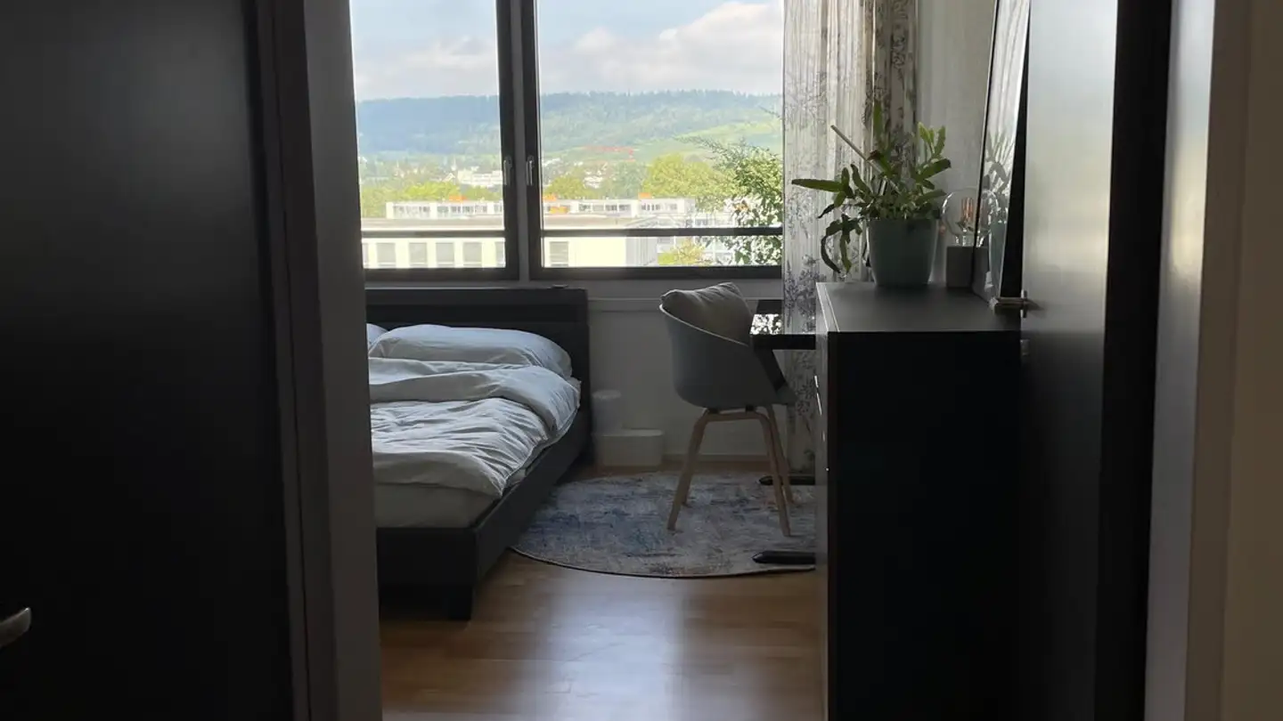 Appartamento ammobiliato in affitto - Brandstrasse 21, 8952 Schlieren - Foto 4