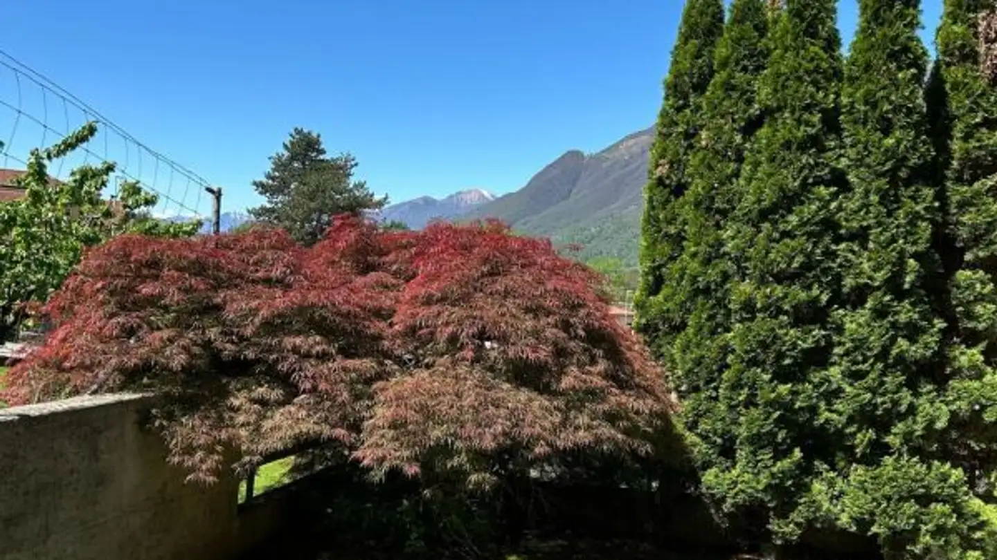 Single house for sale - In Arla 10, 6528 Camorino - Photo 3