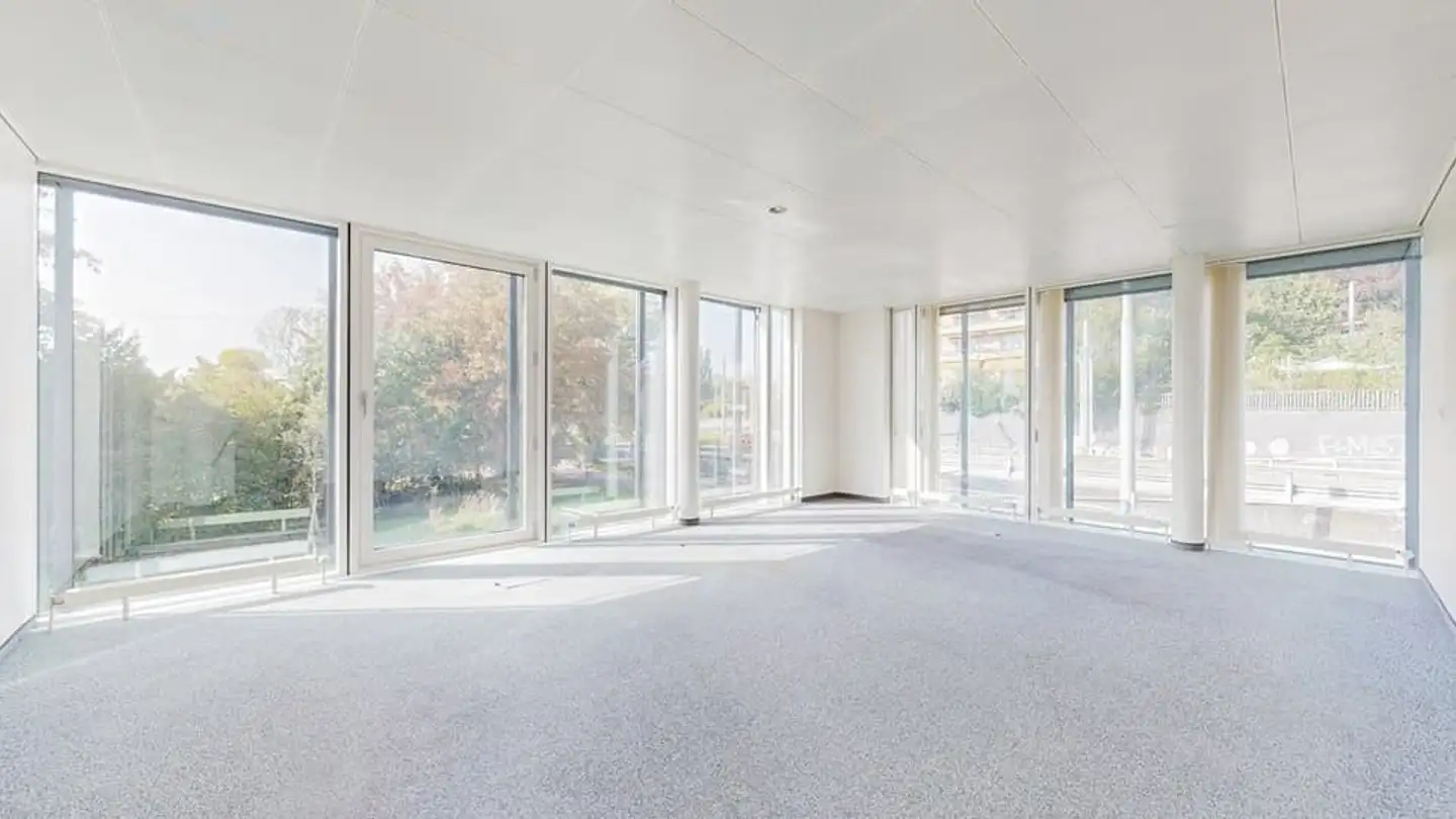 Commerciale in affitto - Avenue De Rhodanie 70, 1007 Lausanne - Foto 3