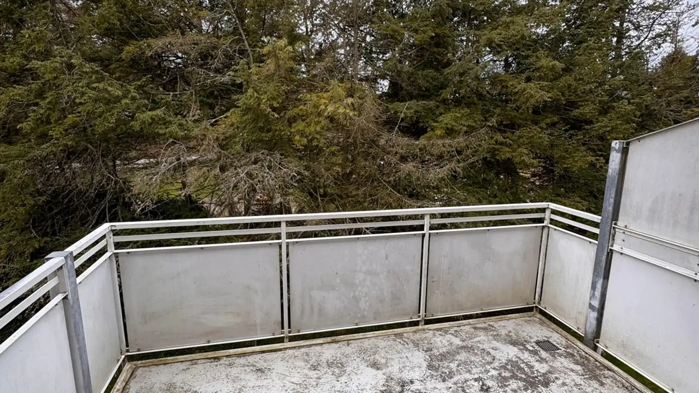 Chambre à louer - Kalktarrenstrasse 13, 8952 Schlieren - Photo 2