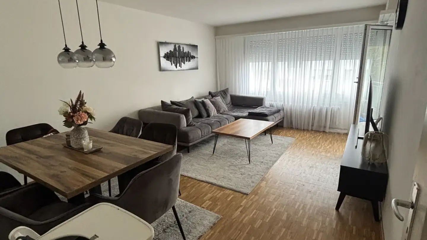 Appartamento in affitto - 5412 Gebenstorf
