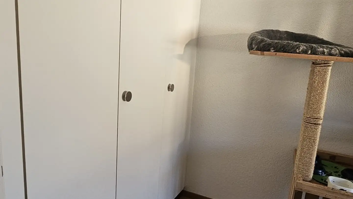 Appartamento in affitto - 1733 Treyvaux - Photo 2