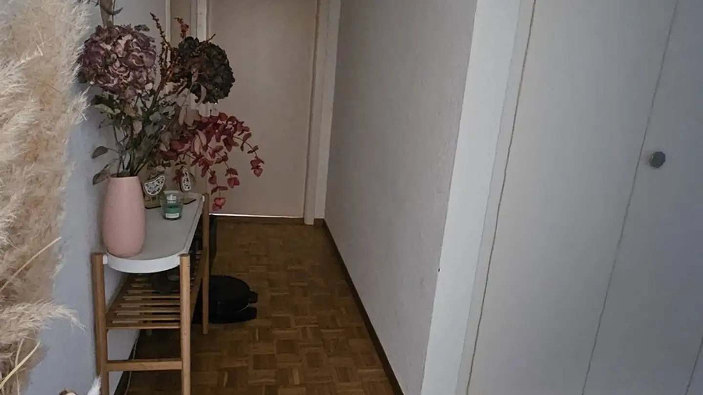 Appartamento in affitto - 1733 Treyvaux - Photo 3