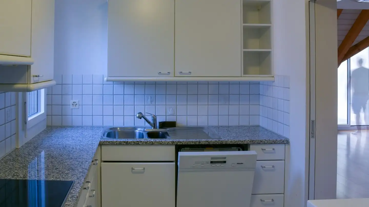 Apartment for rent - 8955 Oetwil an der Limmat - Photo 4