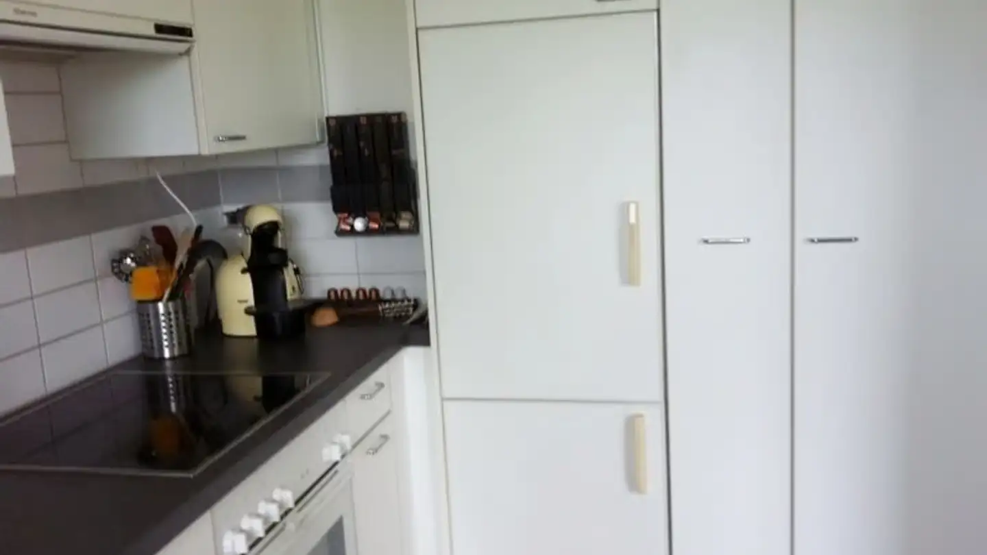 Apartment for rent - Ruchwiesenstrasse 46, 8404 Winterthur - Photo 3
