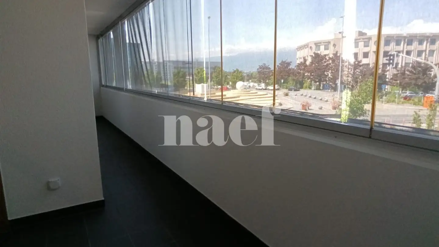 Appartamento in affitto - Route De Ferney 212, 1218 Le Grand-Saconnex - Photo 4