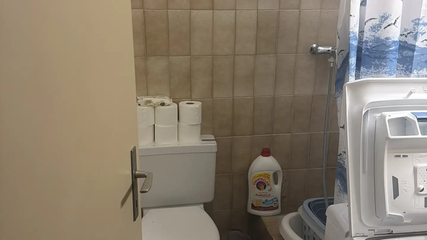 Appartamento in affitto - Krebsbärenhalde 2, 6048 Horw - Foto 2