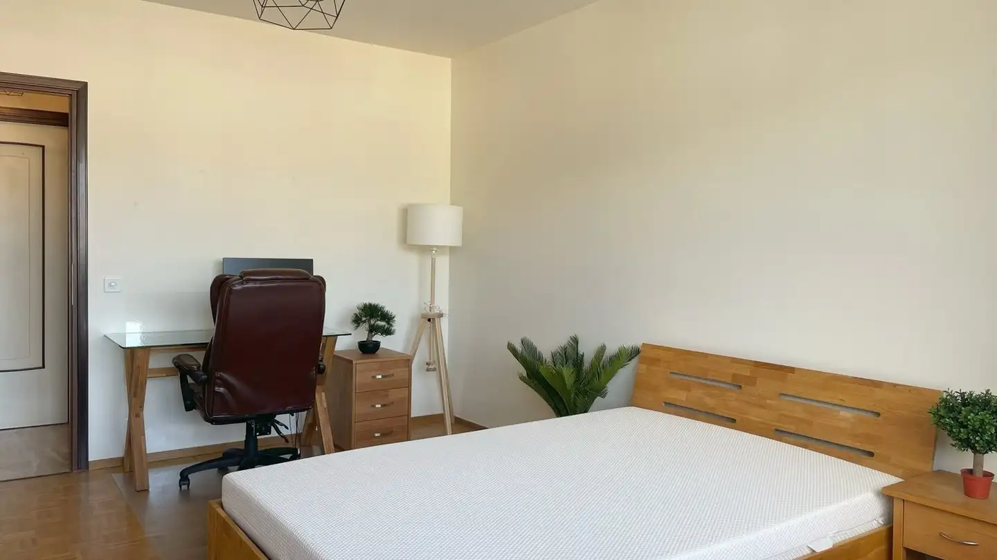 Single room for rent - Via Luigi Taddei 1, 6962 Viganello