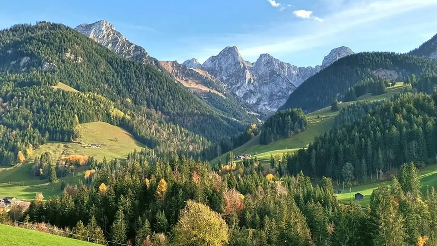 Single house for sale - 1660 Château-d'Oex