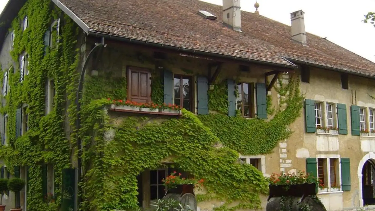 Maison individuelle à vendre - Route de Satigny, 1242 Satigny - Photo 3