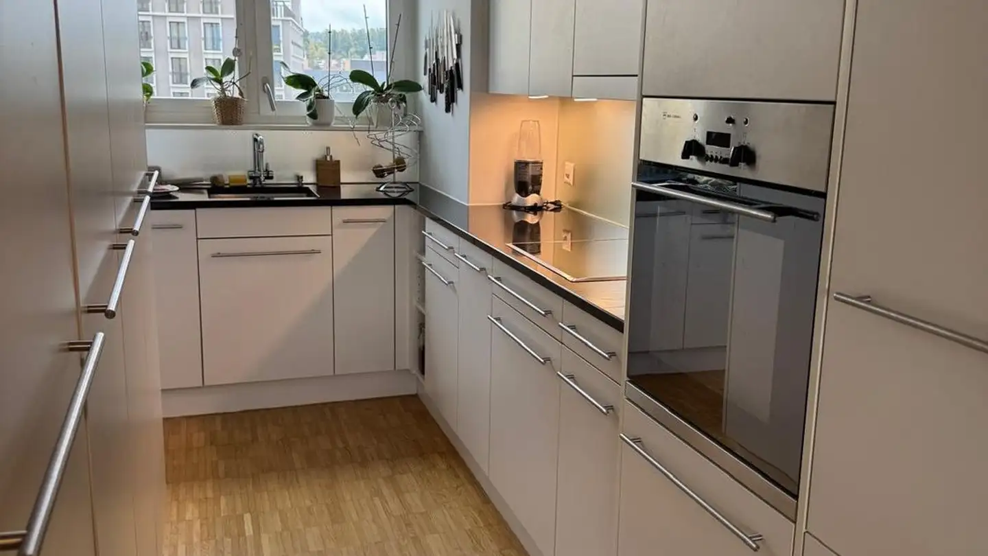 Appartamento in affitto - Gerichtsstrasse, 8610 Uster - Foto 2