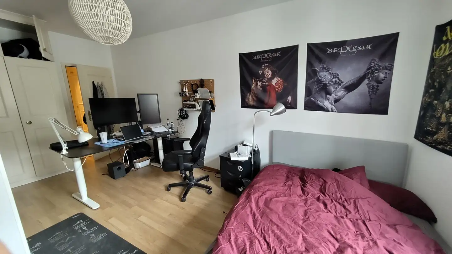 Chambre à louer - Tösstalstrasse 17, 8400 Winterthur