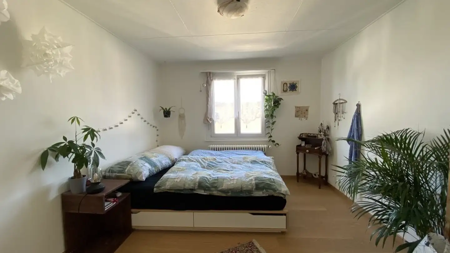 Appartement à louer - Feldstrasse 21, 4600 Olten