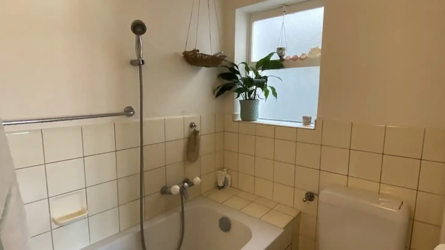 Appartamento in affitto - Feldstrasse 21, 4600 Olten - Photo 2