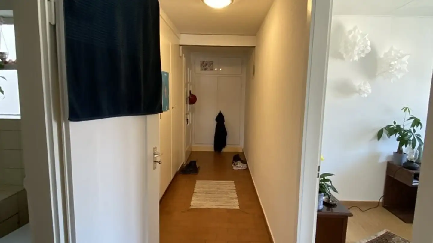 Appartamento in affitto - Feldstrasse 21, 4600 Olten - Photo 3