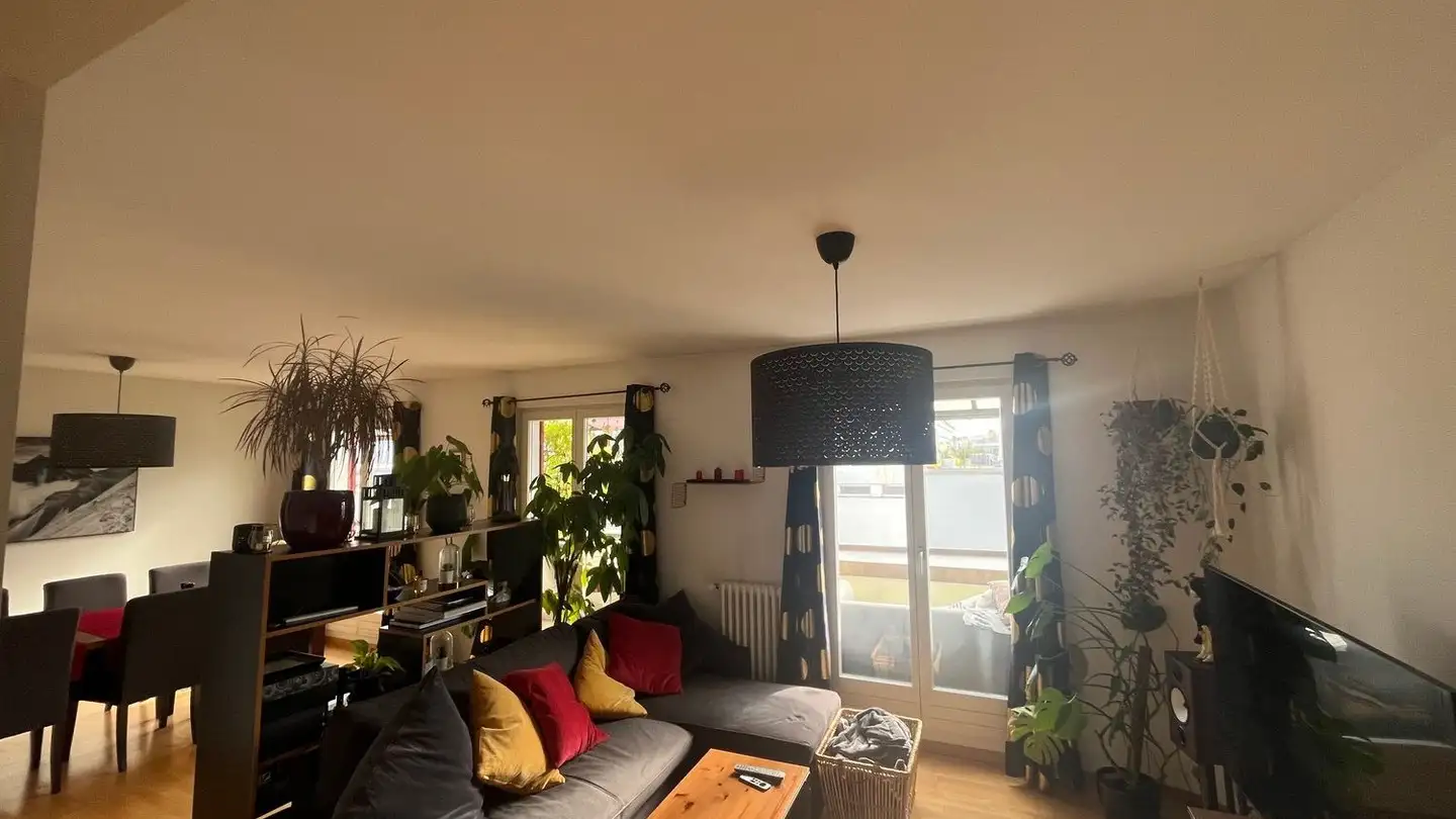Penthouse for rent - Eichstrasse 28, 8045 Zürich