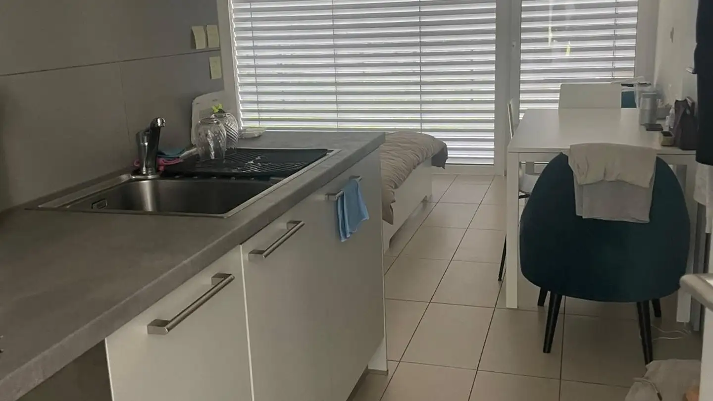 Appartamento in affitto - Chemin De La Forêt 14, 1024 Ecublens VD