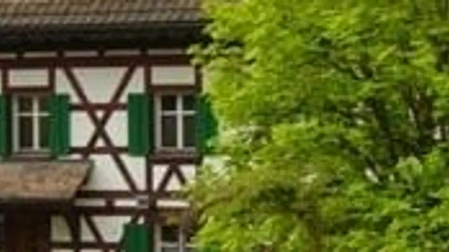 Attique à louer - Weieren 20, 9523 Züberwangen