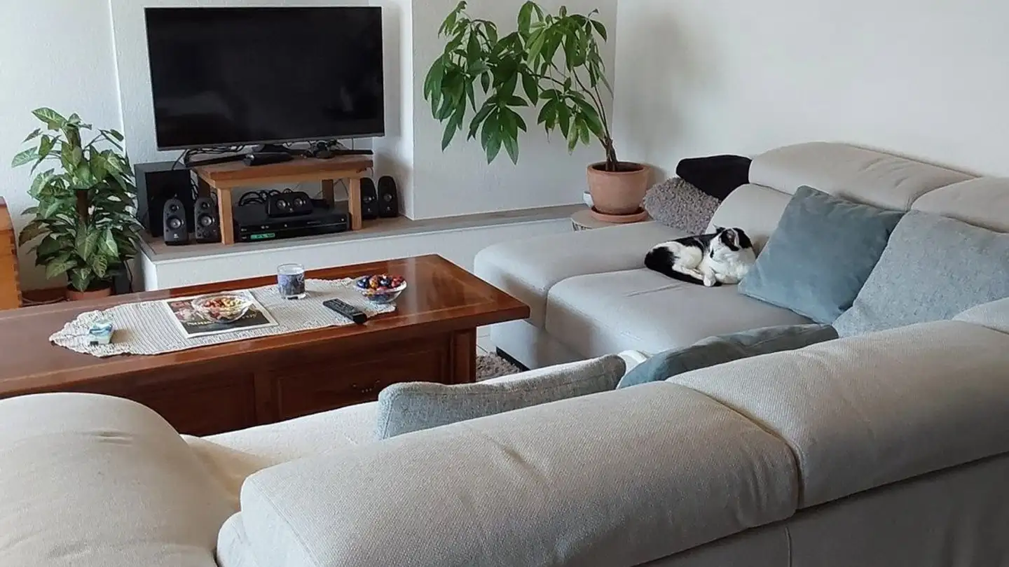 Appartamento in affitto - 1633 Marsens - Foto 4