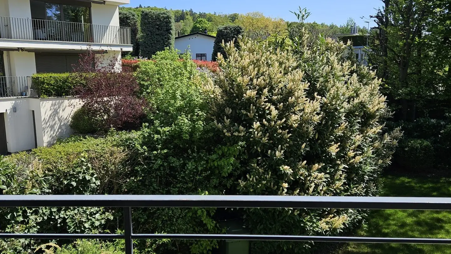 Appartement meublé à louer - 8702 Zollikon - Photo 4