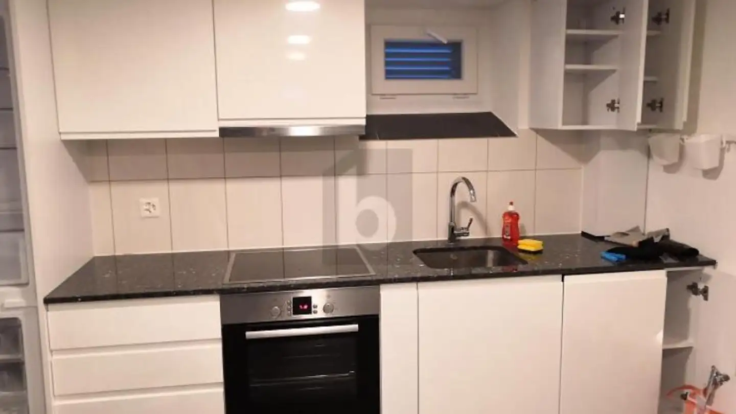Residential building for sale - 8590 Romanshorn - Photo 4