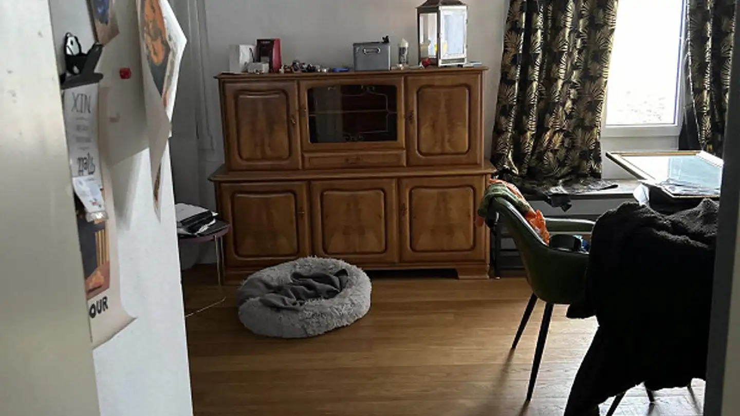 Single house for rent - 9010 St. Gallen - Photo 2