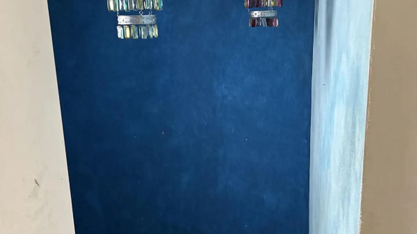 Single house for rent - 9010 St. Gallen - Photo 3