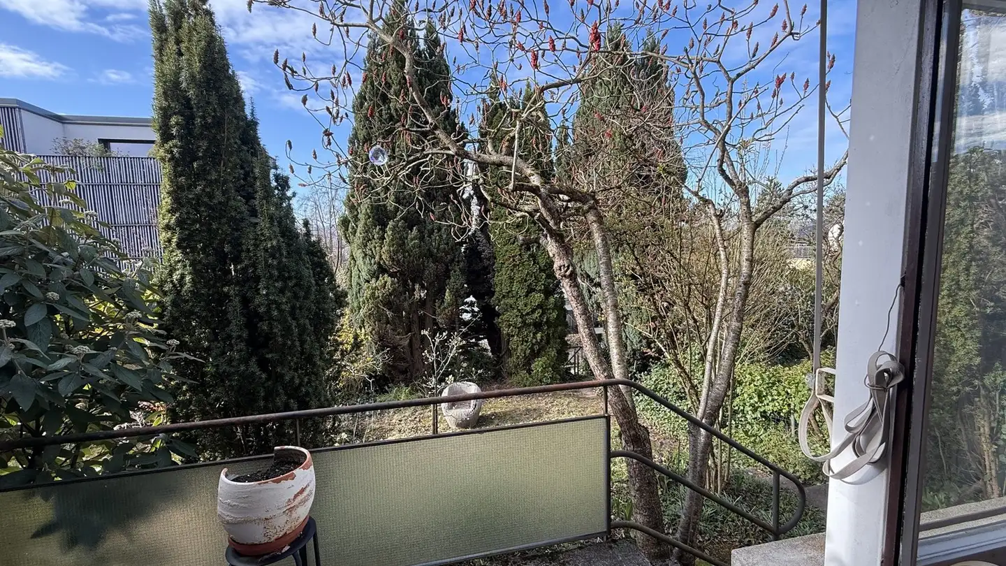 Chambre à louer - Riedhofstrasse 86, 8049 Zürich - Photo 4