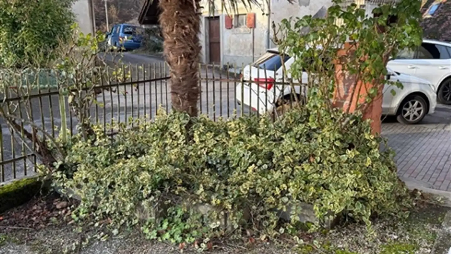 Casa singola in affitto - 1462 Yvonand - Foto 4