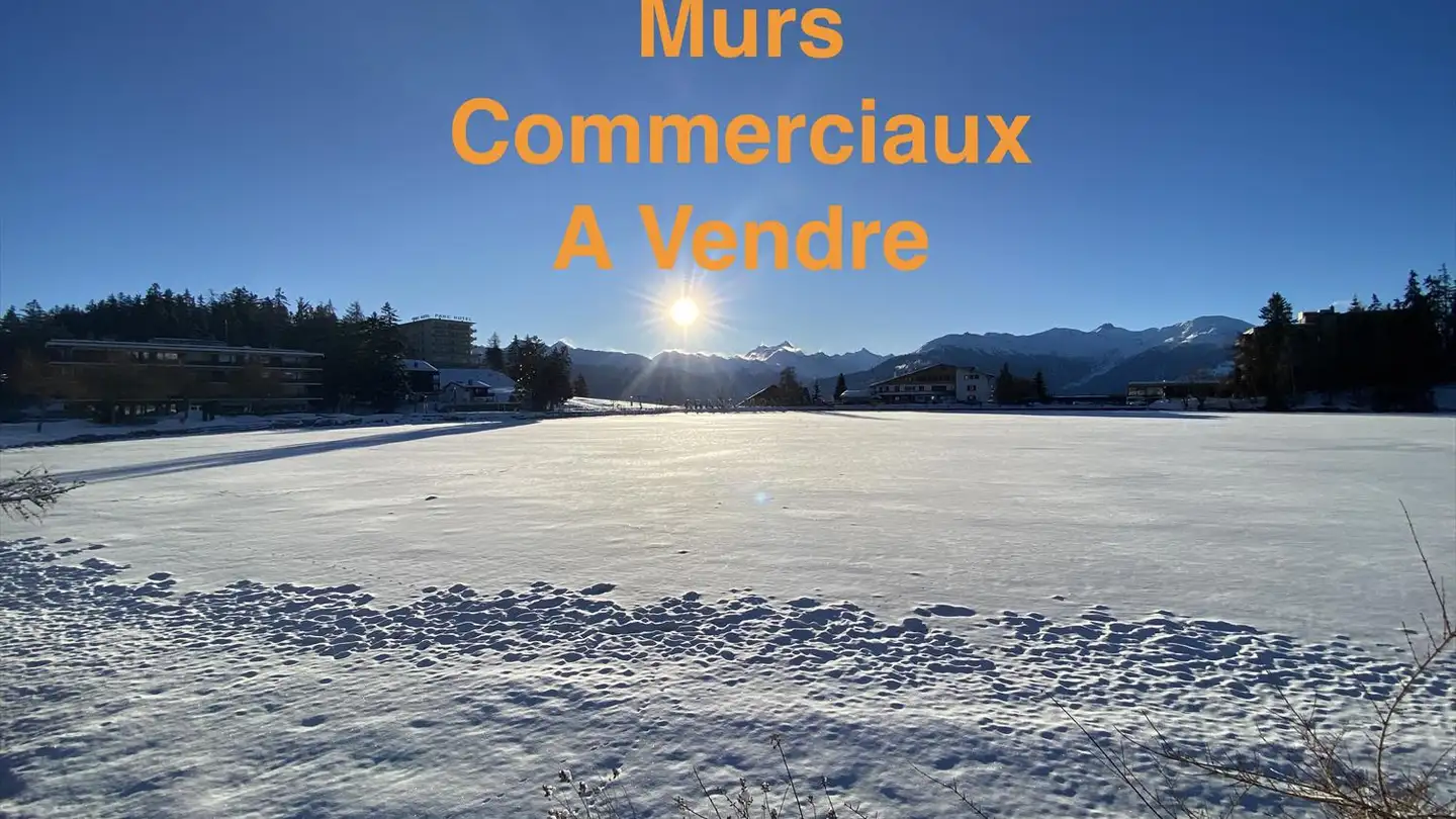 Commerciale in vendita - 1966 Botyre (Ayent) - Photo 3