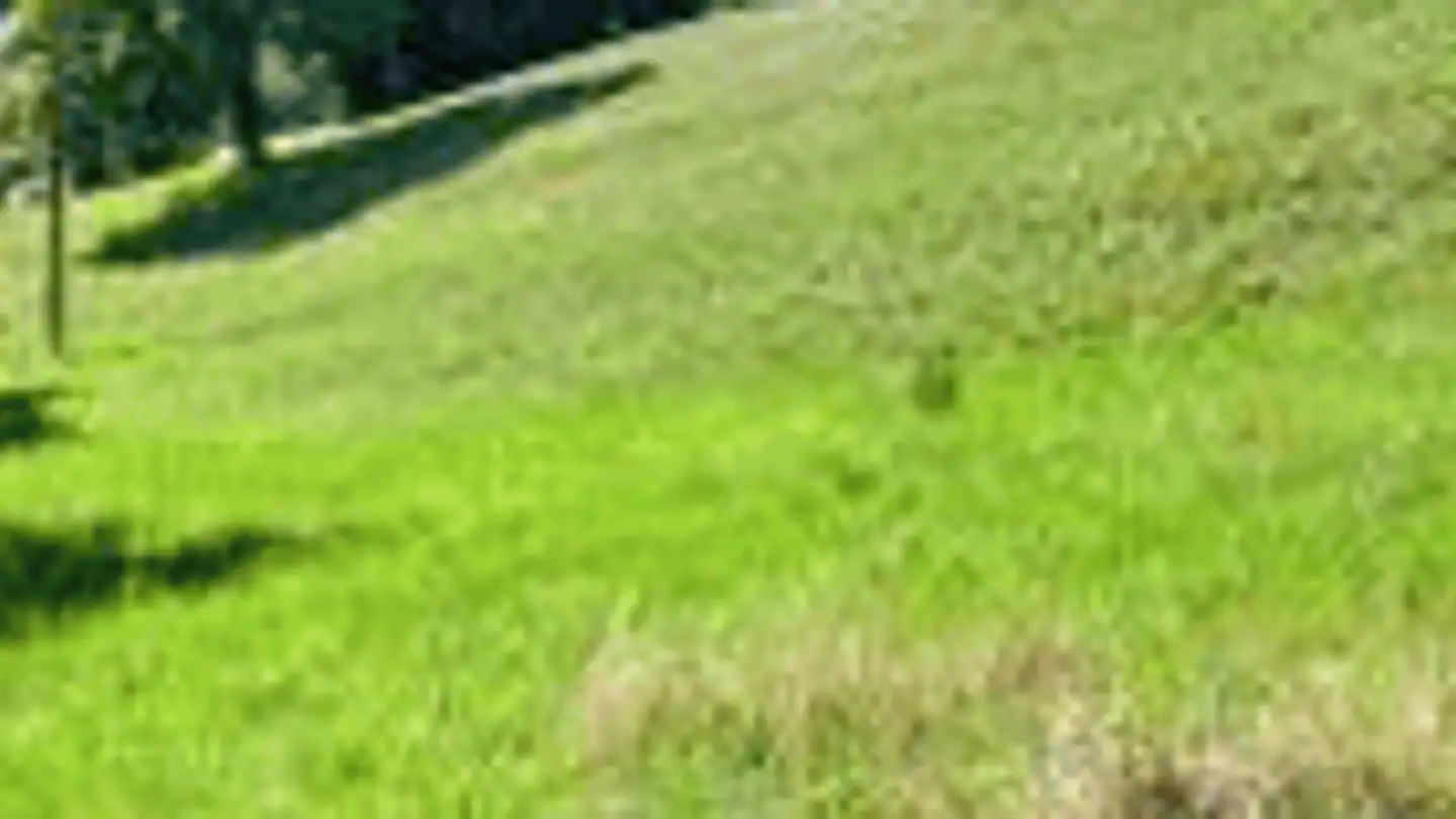 Terreno edificabile in vendita - Fichtweg, 4254 Liesberg Dorf - Photo 2