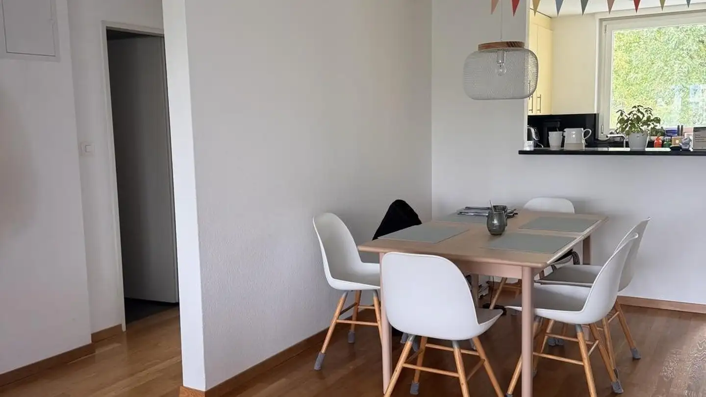 Appartement à louer - Reinhold-Frei-Strasse 68, 8049 Zürich