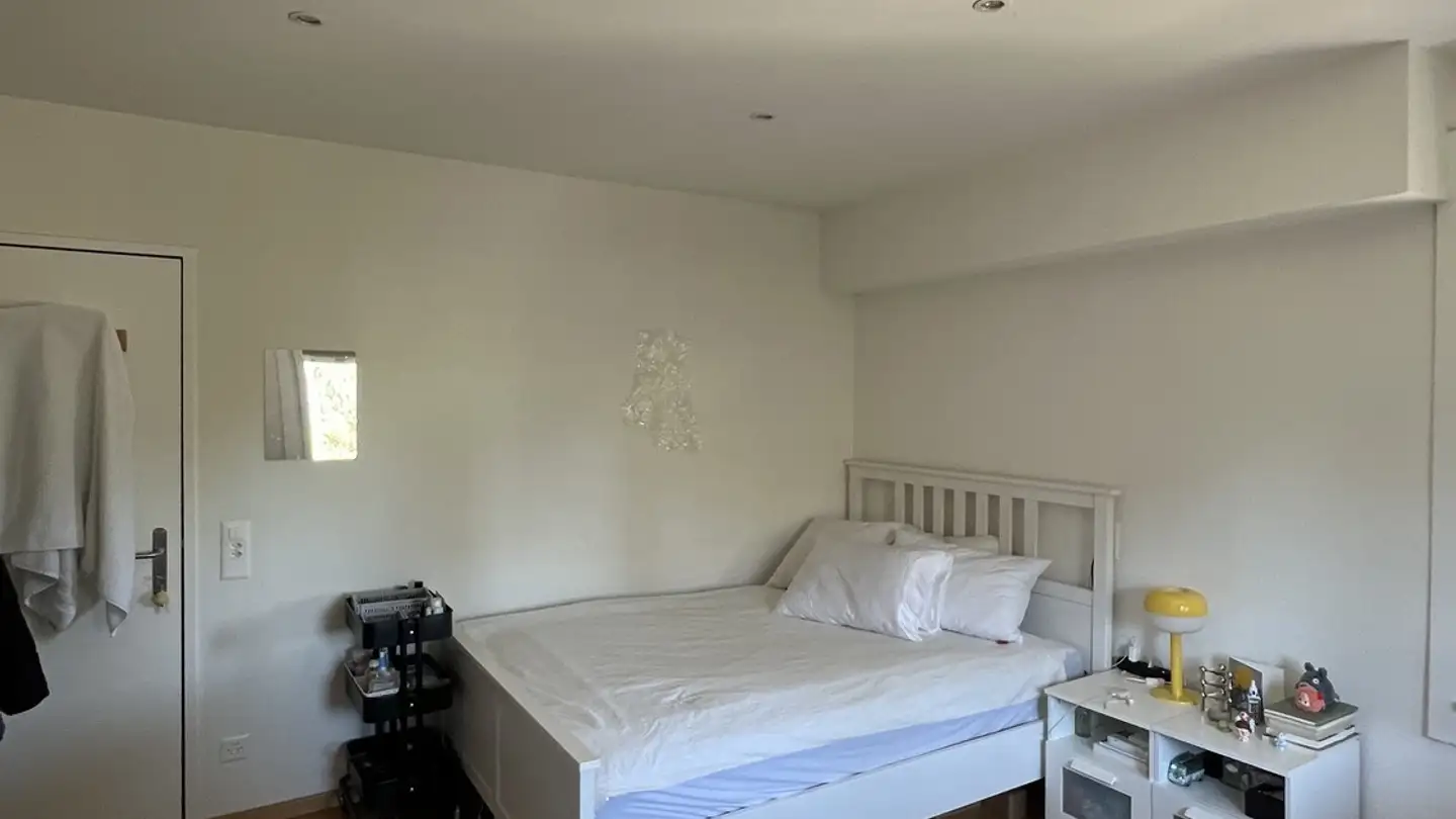 Furnished apartment for rent - 8052 Zürich