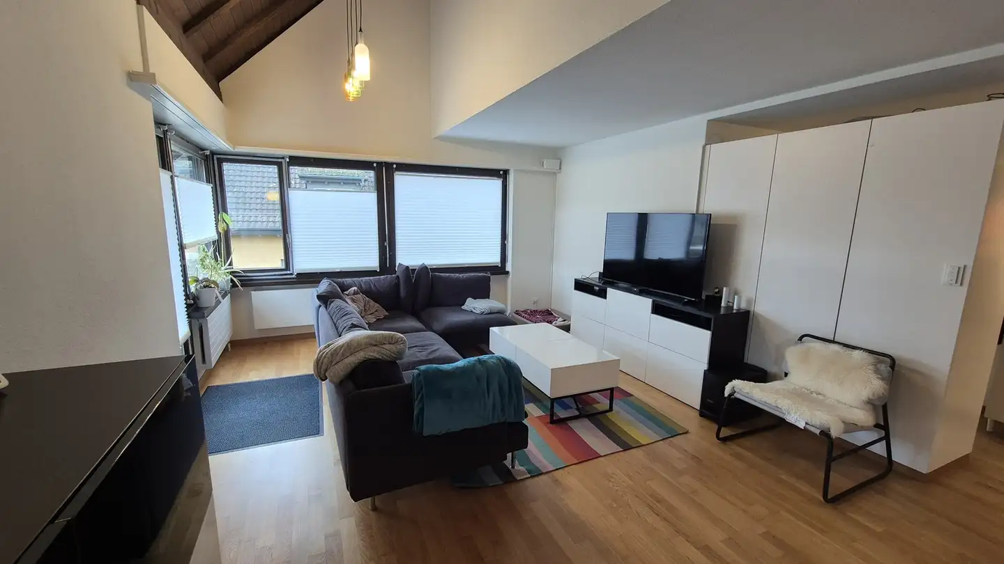 Appartamento in affitto - 8112 Otelfingen