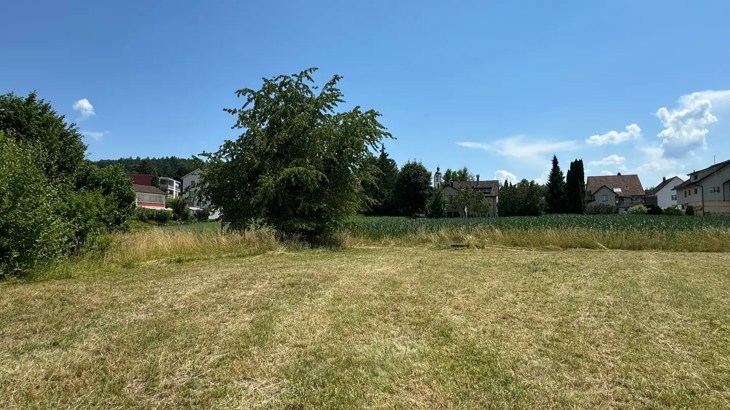 Terreno edificabile in vendita - Sandgasse 24, 5734 Reinach AG - Photo 2