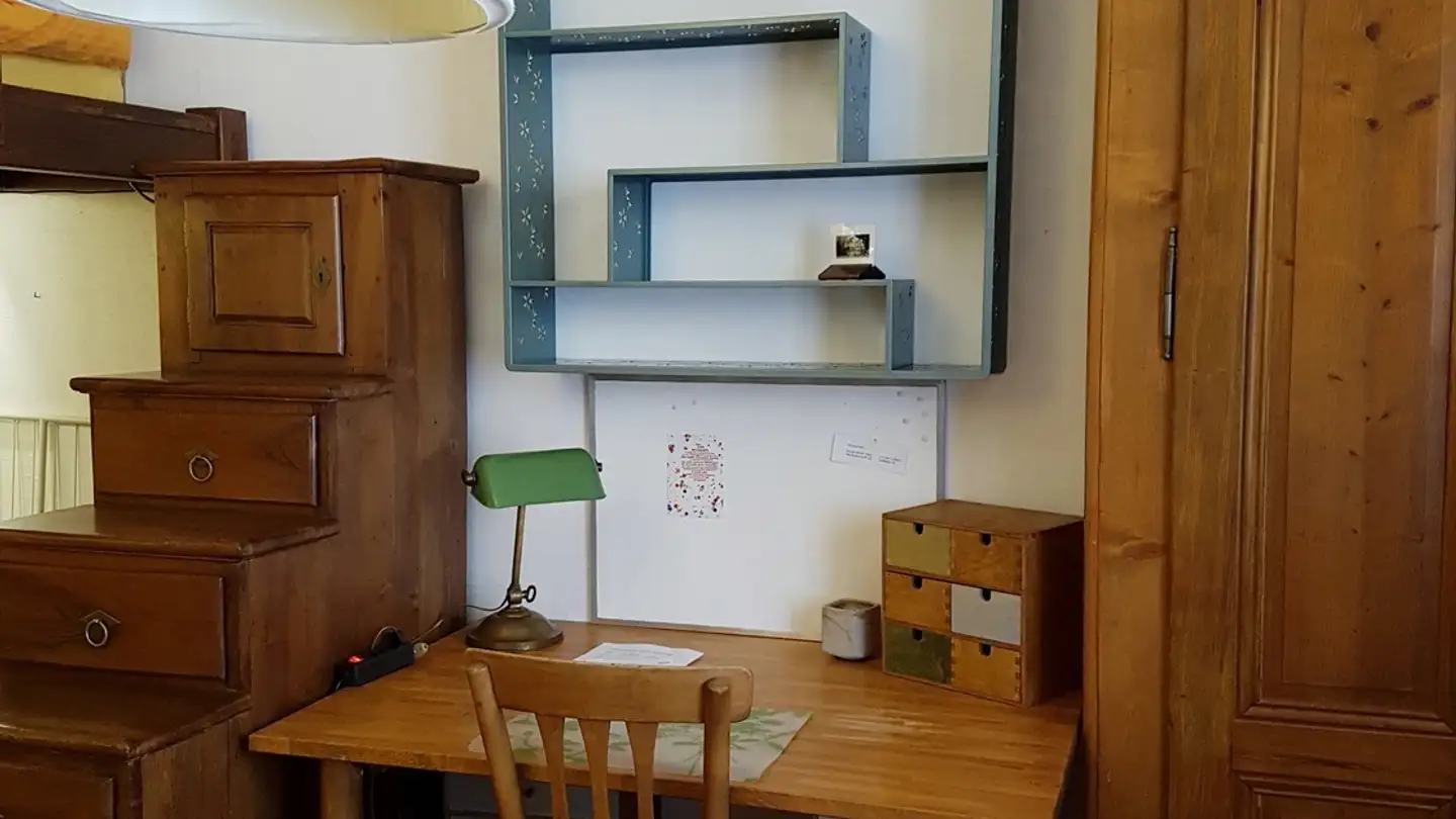 Stanza singola in affitto - Rue Des Eaux-Vives, 1207 Genève - Foto 4