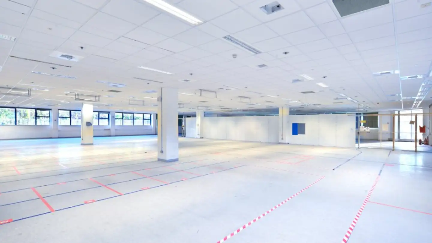Gewerbe mieten - Via Grumo, 6929 Gravesano