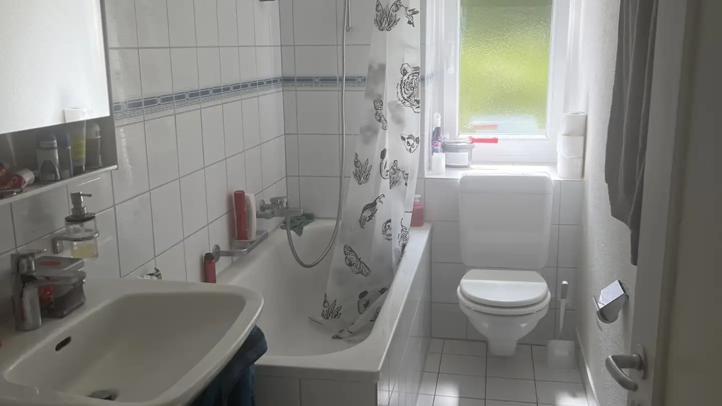 Chambre à louer - Alte Steinacherstrasse 21, 8804 Au ZH - Photo 4