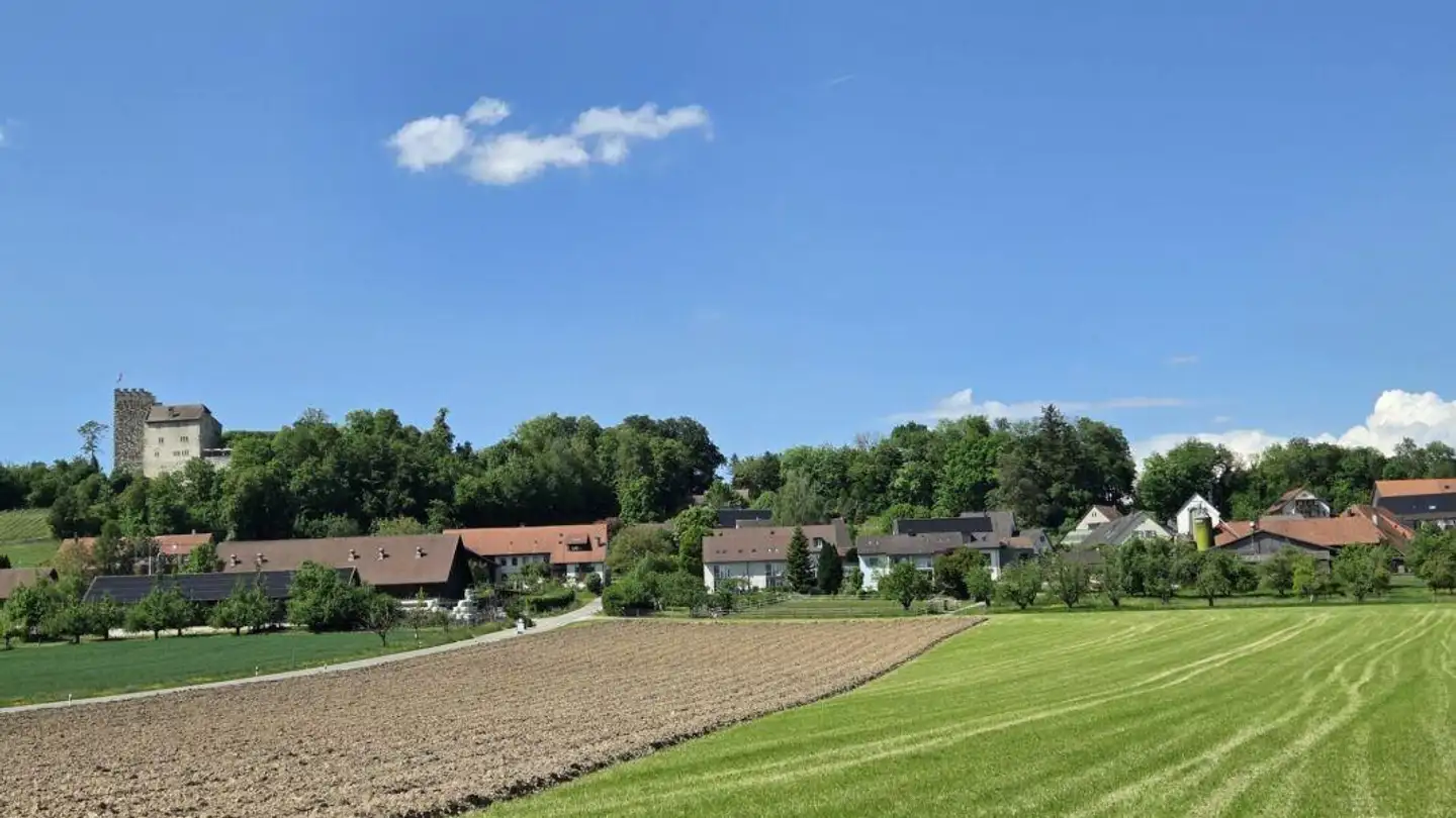 Constructible plot for sale - Mitteldorfstrasse, 5245 Habsburg - Photo 4